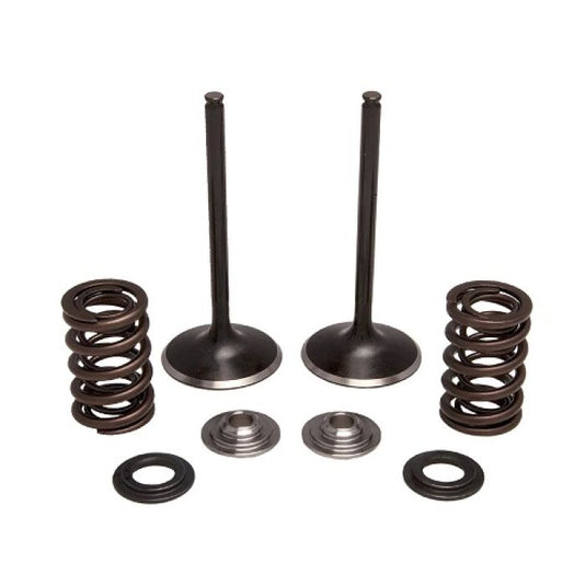 KPMI INTAKE ONLY SPRING KIT TIT ANIUM 0.450