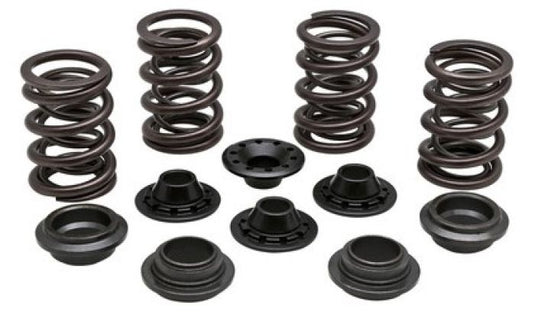 KPMI SPRING KIT LIGHTWEIGHT RAC ING .460