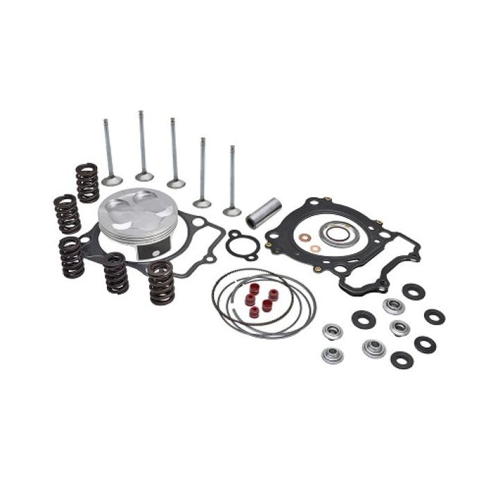 KPMI PISTON/SPRING KIT STAINLES S CONV. 0.380