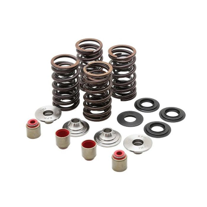 KPMI RACING SPRING KIT, TITANIUM, 0.450