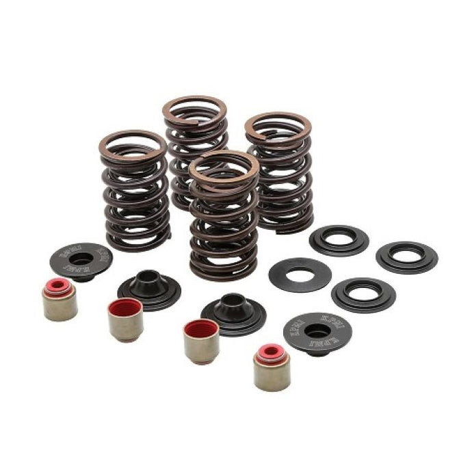 KPMI RACING SPRING KIT HT STEEL 0.450