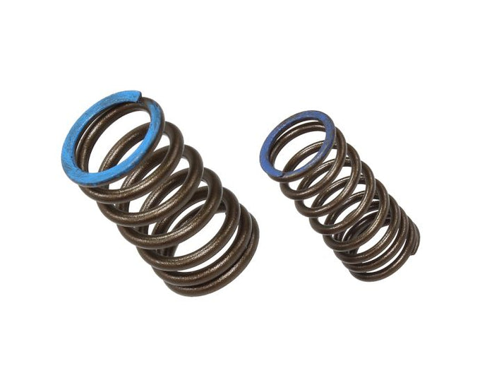 INTAKE VALVE SPRING