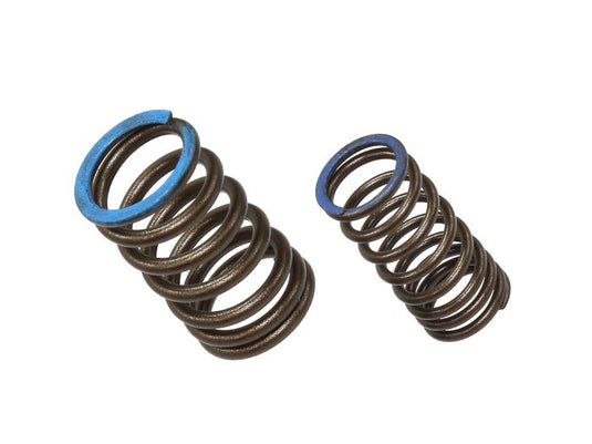 INTAKE VALVE SPRING