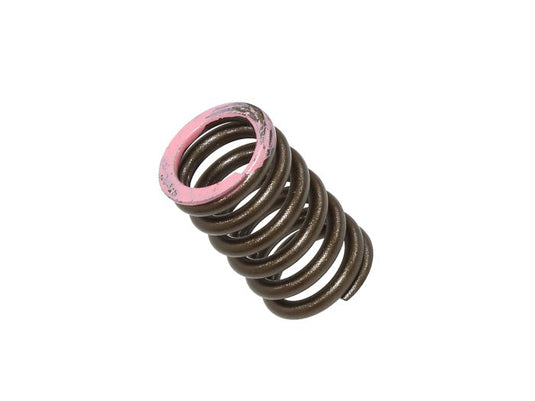 INTAKE VALVE SPRING