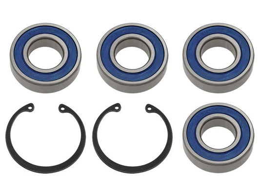 SPI CHAIN CASE BEARING KIT 