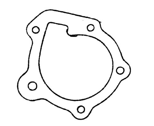 POLARIS WATER PUMP GASKET
