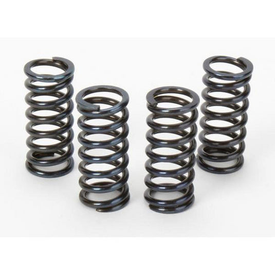 VESRAH CLUTCH SPRINGS - SK-343