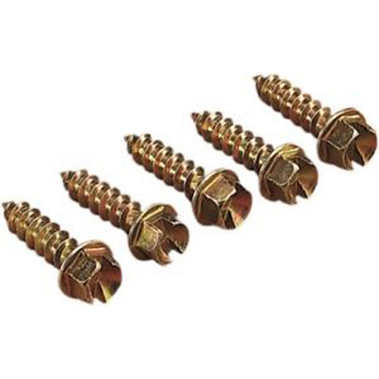 GOLD SCREWS 1