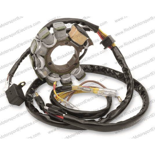 RICK'S ELECTRIC, OE STYLE STATOR