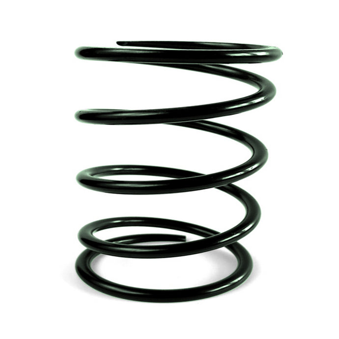 CLUTCH SPRING