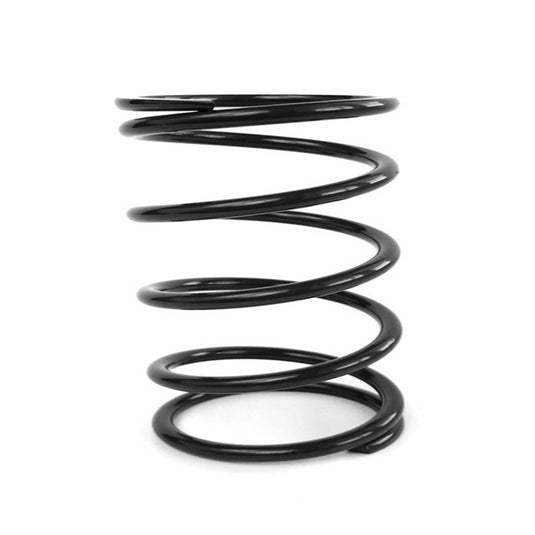 EPI CLUTCH SPRING