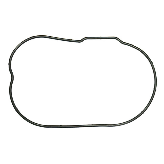 SPI CHAINCASE GASKET