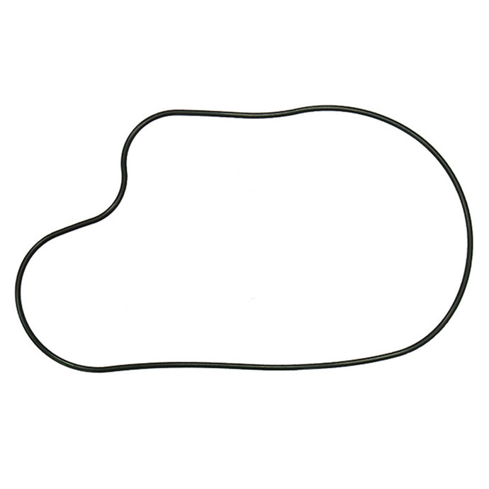 SPI CHAINCASE GASKET