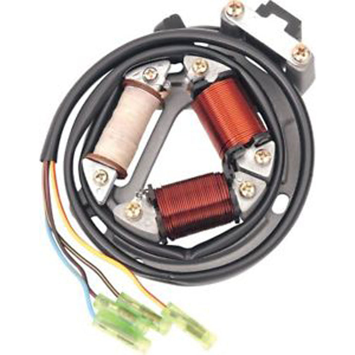 RICK'S ELECTRIC, HIGH OUTPUT STATOR
