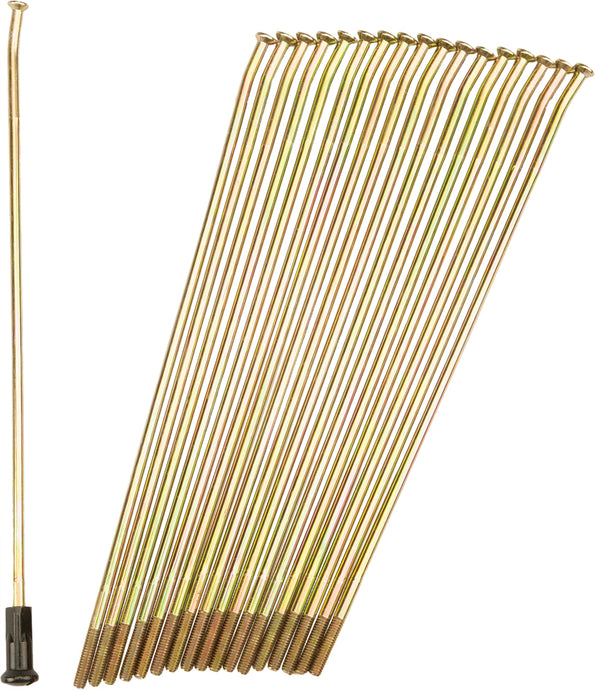 DOUBLE BUTTED SPOKES GOLD/BLACK FRONT 21