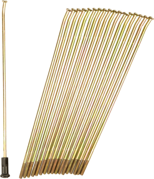 DOUBLE BUTTED SPOKES GOLD/BLACK FRONT 21