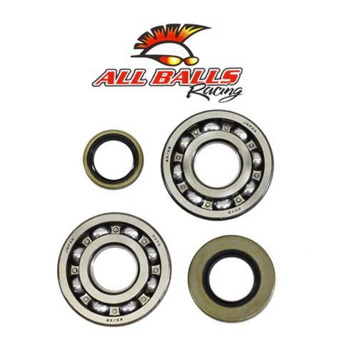 ALLBALLS CRANK BEARING AND SEAL KIT