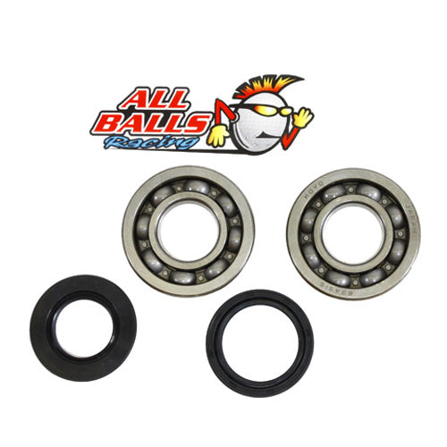 ALL BALLS CRANK BEARING AND SEAL KIT