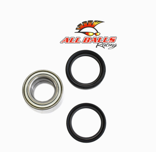 ALL BALLS WHEEL BEARING KIT