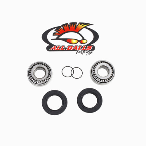 SWING ARM BEARING KIT