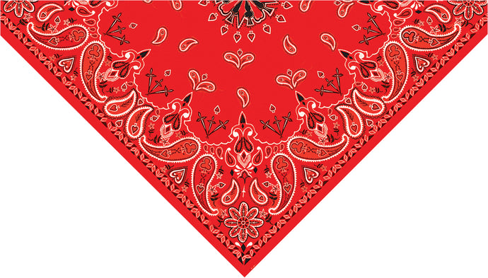 3-IN-1 HEADBAND SYSTEM (PAISLEY RED) BV003 image 1