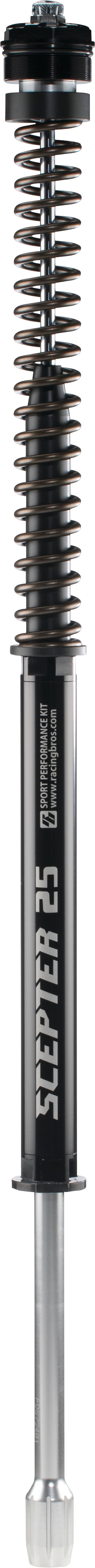 SCEPTER FORK KIT STD 39MM XL883R 11-15 XL1200V 09-15 R0900101-1 image 1