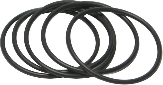 STARTER TO PRIMARY CASE O-RING TWIN CAM 5/PK OE