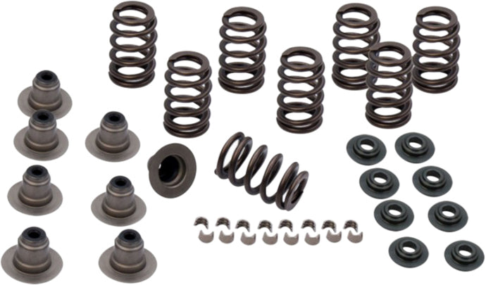 SPRING KIT .650 LIFT TC 04-17 XL 04-18 4-4102 image 1