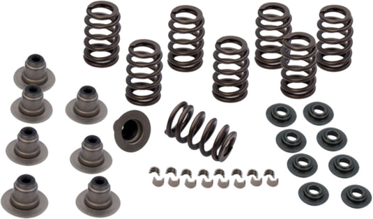 SPRING KIT .650 LIFT TC 04-17 XL 04-18 4-4102 image 1