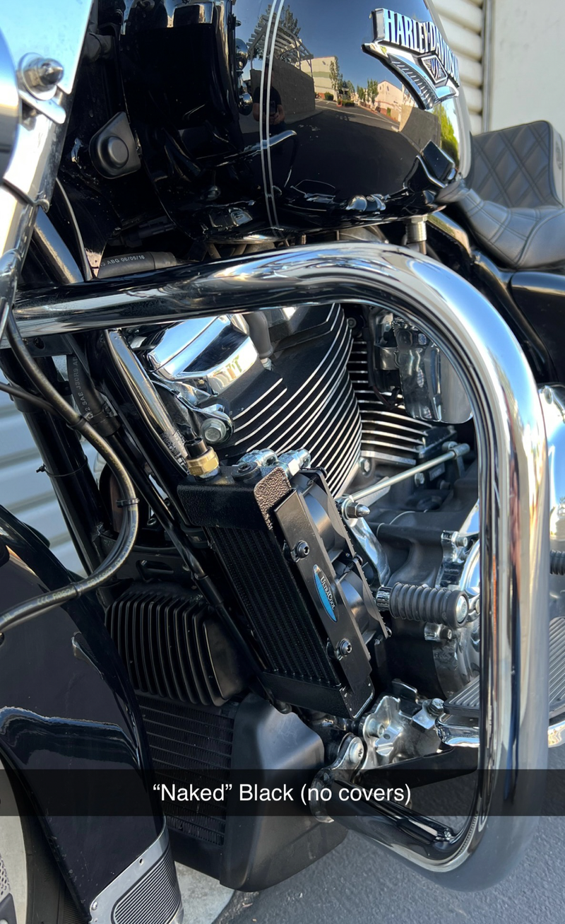 Load image into Gallery viewer, NAKED OIL COOLER M8 `17-23 SMT8-3 image 3
