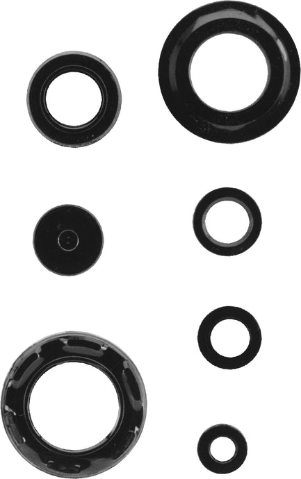 ENGINE SEAL KIT 50-4046 image 1