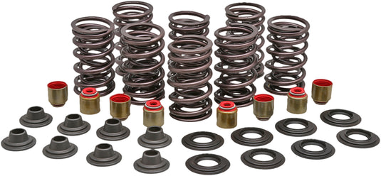 RACING VALVE SPRING KIT 82-82900 image 1