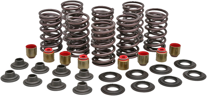 RACING VALVE SPRING KIT 82-82800 image 1
