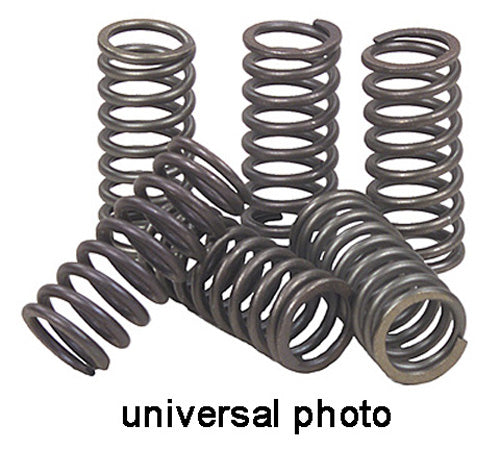 CLUTCH SPRING KIT