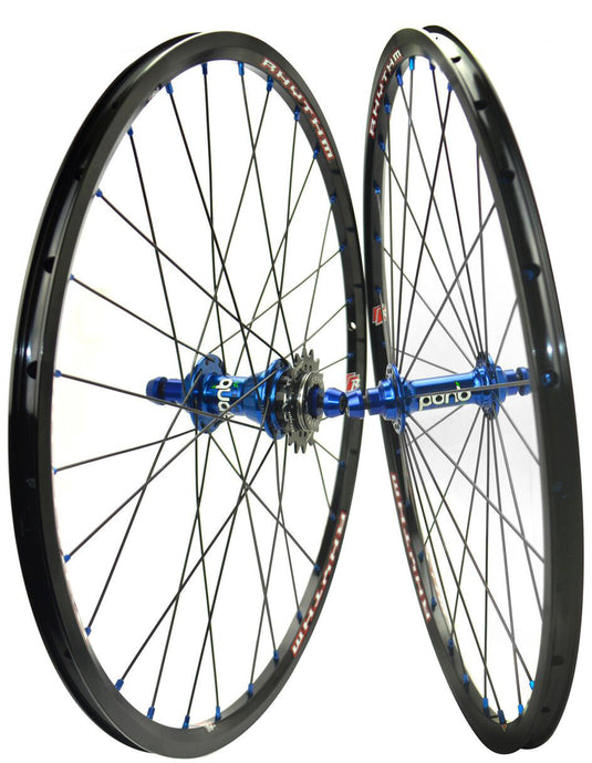 RHYTHM PRO 20X1.75 WHEEL BLACK/BLUE QUAD HUB W/ 16 COG 38043 image 1