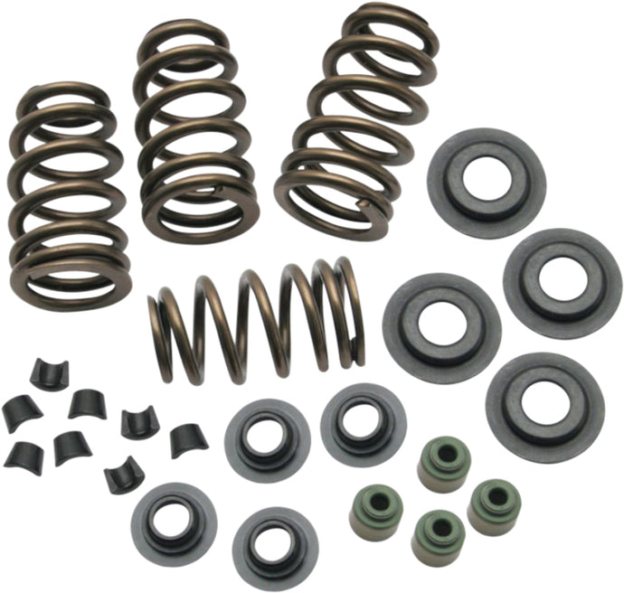 BEEHIVE CONVERSION SPRING KIT EVO BT 84-03 .650 LIFT 4-4101 image 1