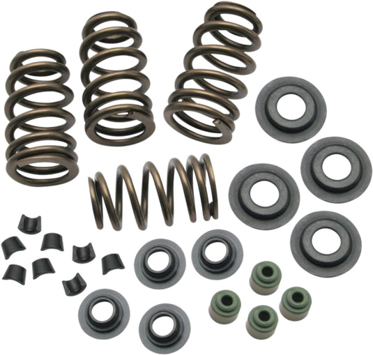 BEEHIVE CONVERSION SPRING KIT EVO BT 84-03 .650 LIFT 4-4101 image 1