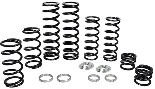 DUAL RATE SPRING KIT POL K25-PL1006-0 image 1