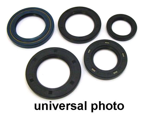 COMPLETE OIL SEAL SET HONDA DIR TBIKE