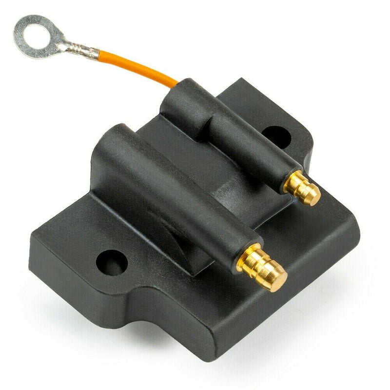 Load image into Gallery viewer, Ignition Coil Assembly for 1989 Johnson Evinrude 5HP
