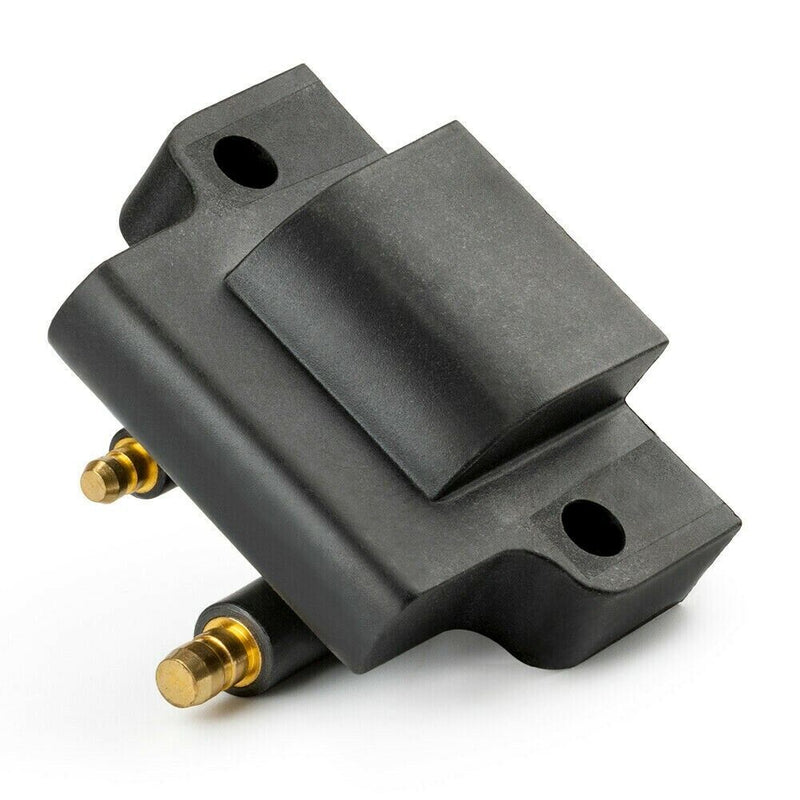 Load image into Gallery viewer, Ignition Coil Assembly for 1990 Johnson Evinrude 9.9HP
