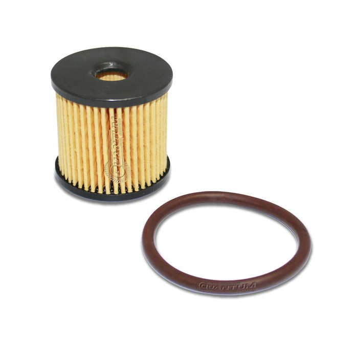 Fuel Filter Kit w/ O-ring HFP-K42 image 1